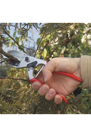 Felco 31 Budama Makası - 110235 Sağ By-Pass