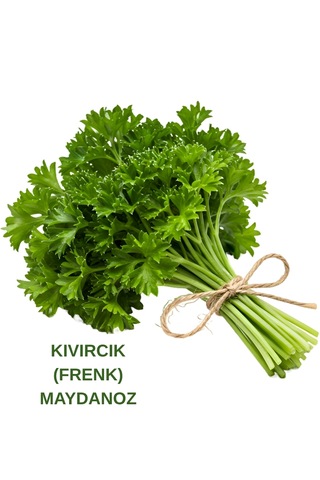Maydanoz Ve Kıvırcık Frenk Maydanoz Tohumu Seti 10 Gr. 10 Gr.