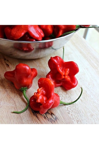 Süper Paket Acı Süs Gül Biberi Tohumu Gül Biber Tohumu 85 Adet Tohum + Sürpriz Hediye Tohum