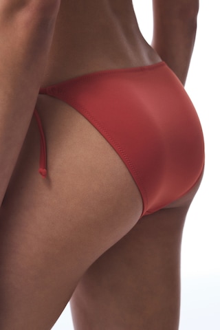 Penti Tarçın Rengi Bağlamalı Düşük Bel Bikini Altı