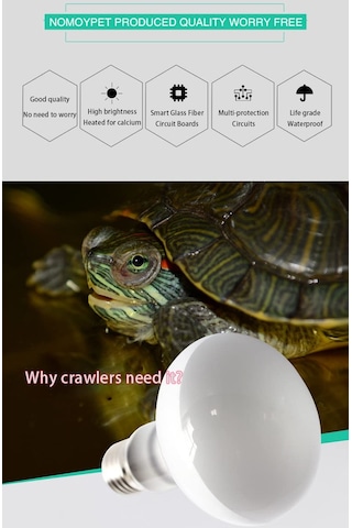 Lichen Sürüngen Isıtma Lambası, 50w E27 Uva Isıtma Lambası