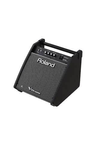 Roland Pm-100 Davul Monitörü