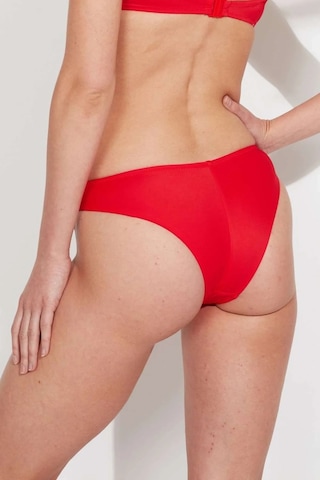 U.S. Polo Assn. Kadın Kırmızı Brazilian Bikini Alt Kırmızı
