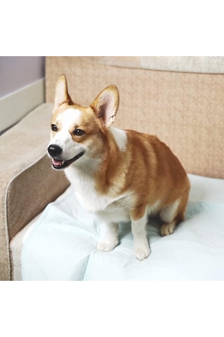 Köpekler İçin Yıkanabilir Pee Pedleri, 2'li Paket Yeniden Kullanılabilir Köpek Pedleri Su Geçirmez Pet Whelping Pedi, 34 X 36 Yüksek Emici Lazımlık Eğitimi Sandık Oyun Parkı Köpek Kulübesi