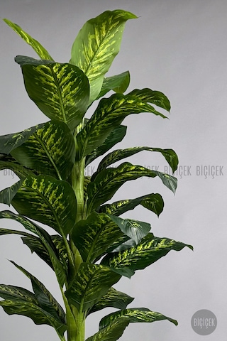 Biçiçek Yapay Di̇fenbahya Ağacı 180 Cm Beyaz Lale Saksıda