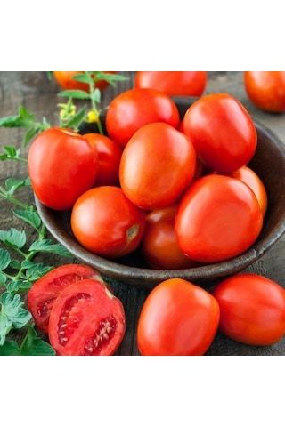 Ata Tohum Geleneksel Roma Organic Domates Tohumu 20 Tohum