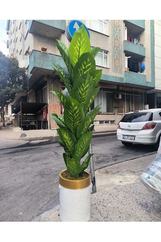 Rüzgar Yapay Çiçekçilik Krem Saksıda Difenbahya Ağacı Yeşil