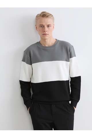 Lcw Vision Antrasit Bisiklet Yaka Renk Bloklu Erkek Sweatshirt