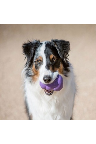 Kong Senior Yaşlı Köpek Oyuncağı Medium 152-50074.02