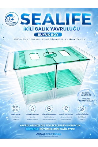 Akvaryum İkili Balık Yavruluğu Büyük Boy 20x10 Cm Turkuaz Güvenli Çift Bölmeli Tasarım