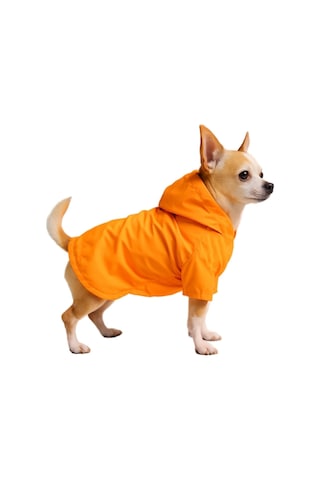 Mpz Pets Turuncu Fileli Yağmurluk Xl