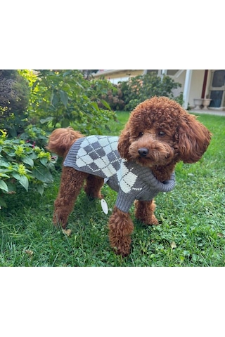 Miniş Gri Baklavalı Küçük Köpek Kazağı