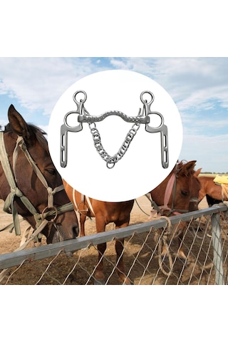 Homyl At Dizgini Dış Mekan Ekipmanları Için Eğitim Yanak Gümüş