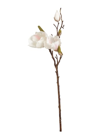 Mudo Home Manolya Çiçeği Beyaz 51cm