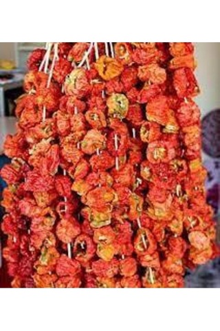 100 Adet Kurutulmuş Acı Antep Dolmalık Biber Yeni Mahsül Doğal Köy Biberi Orta Boy Kuru Biber Dolma..