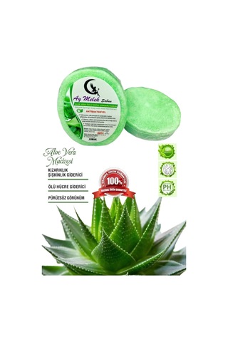 Aloe Vera Özlü Süngerli Doğal Güzellik Sabunu Cilt Etkili Diğer