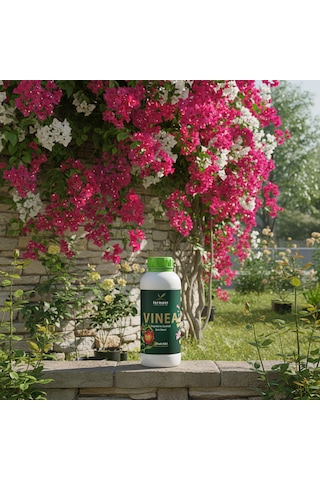 Vinea 500 Ml Dış Mekan Süs Bitkisi Besini - Begonvil Ve Hanımeli İçin Hızlı Büyüme Güçlü Sarmaşıklar 500 ML