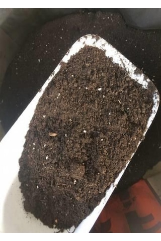 Torf Toprak. Fide. Çiçek. Bitki Yetiştirme Torfu 1 KG