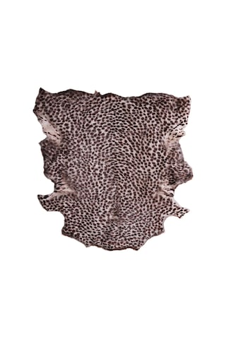 Naturel Leopar: Hakiki Hayvan Derisi Aksesuarıyla Evinizdeki