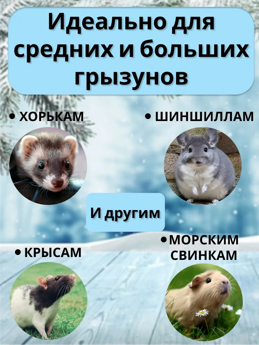 Petipet Kemirgenler Ve Sıçanlar İçin Kareli Sıcak İki Katlı Hamak 311881911