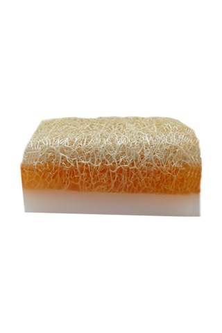 Doğal Kabak Lifli Alovera-Doğal Kabak Lifli  Keçi Sütlü Portakal