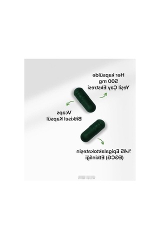 Yeşil Çay Ekstresi İçeren 500 Mg Kapsül - 60 Adet