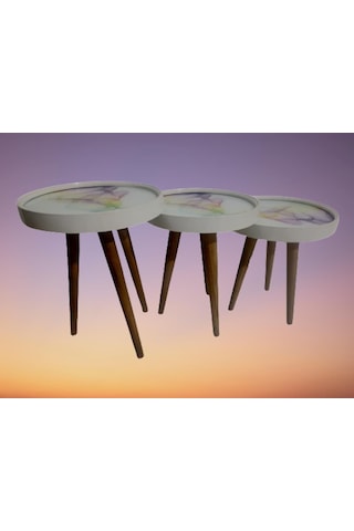Zigon Sehpa Çember Renkli Dalga Model Kayın Retro Parlak Ceviz 3