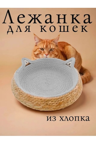 Vektorı Kediler Ve Köpekler İçin Tırmalama Tahtalı Yatak 463888976