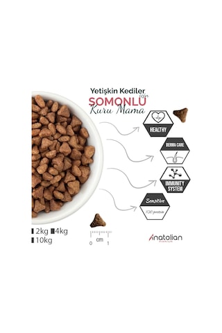 Anatolian Premium Somonlu Yetişkin Kedi Maması 10 kg