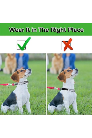 Geeroyoo Hızlı Açılır Tokalı Ayarlanabilir Köpek Eğitim Tasması - Metal Çivili Tasarım