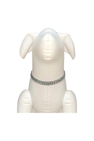 Nunbell İki Sıra Zincir Köpek Boyun Tasması 2 MM Gri