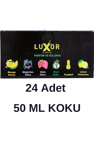 Luxor 24 Adet 50 ML Ev & Oto Koku Seti Özel Kutulu