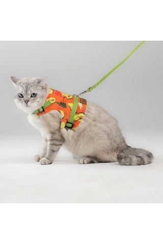 Kaçış Önleyici Kedi Gezdirme Tasması Ve Küçük Irk Köpek Gezdirme Tasması M, Avokado Çok Renkli