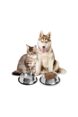 Technojet 2 Adet Metal Kedi ve Köpek Mama Su Kabı 22 cm