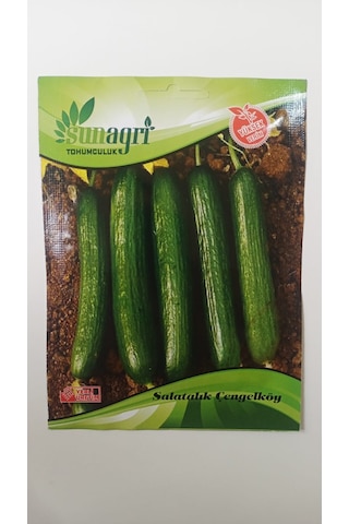 Bykurt Sunagri Çengelköy Salatalık Tohumu - 5 Gr Lezzetli, Bol Verimli