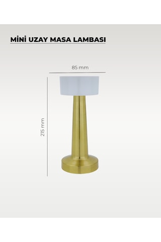 Gold Mini Uzay Masa Lambası - Dokunmatik - 3 Renk Işık Rose