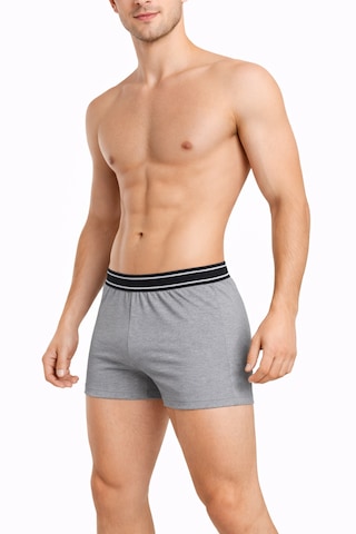 Maxi-dry Erkek Boxer Aşırı Terleme Önleyici Çift Katmanlı, Islaklık Sızdırmaz, Nefes Alabilen Iç Giyim Gri
