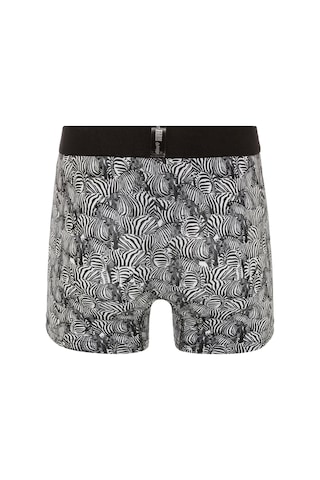 Farm Animals Zebra Desenli Boxer