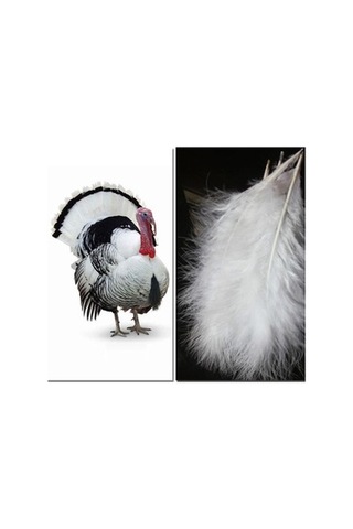 Lijinxu Dreamy White Dream Catcher Tüy Duvar Asılı Dekorasyon 2