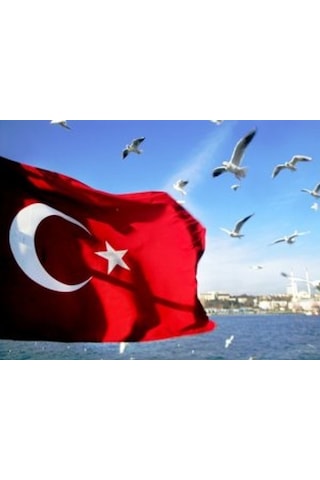 Türk Bayrağı. Tekne Bayrak Direği Bayrak Çeşitleri 20X30Cm