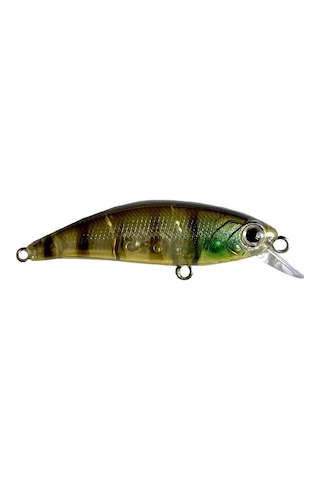 Hanfish Zıpır 50 Kg Spk-48 Goby