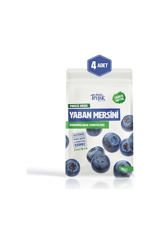 Dondurularak Kurutulmuş Yaban Mersini 18 G Freeze Dried Meyve Cipsi Çıtır Meyve Kurusu 4 Adet