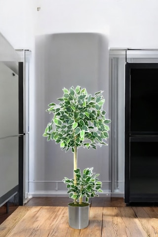 150 Cm Ficus Yapay Ağaç Bambu 2 Gövdeli Metal Saksı Yeşil