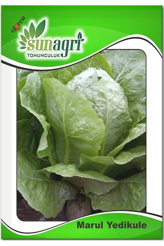 Marul Yedikule Tohumu 10gr Paket Sebze Tohumu