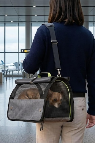 Reyo Brave Paws Flybag Plastik Yırtılmaz Fileli Kedi Ve Köpek Taşıma Çantası Seyahat Çantası Gri 45x25x26cm Hav