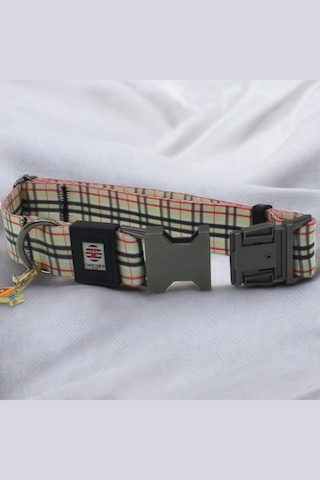 İsimli Köpek Tasması, Orta Ve Büyük Irk, Metal Kilitli Brbrmtl