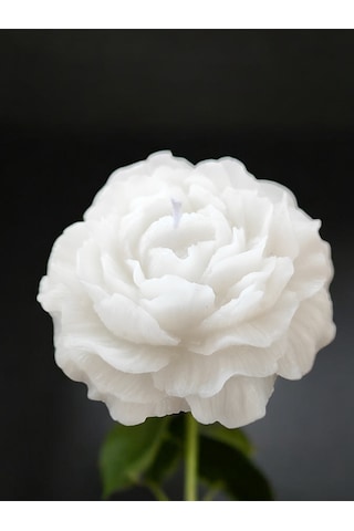 İkili Vanilya Kokulu 8 Cm Çapında Şakayık Mum Beyaz