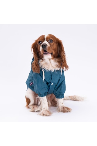 Pettrend Petrol Mont Köpek Mont Küçük Büyük Irk Köpek Yağmurluğu