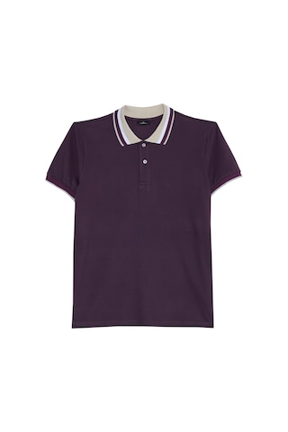 Erkek Slim Fit Dar Kesim %100 Pamuk Eflatun Polo Yaka Tişört-50177 Eflatun
