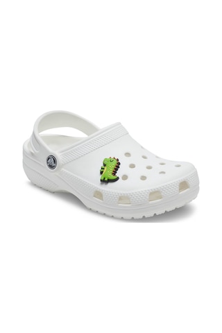 Crocs Dino Jibbitz